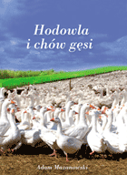 Hodowla i chów gęsi